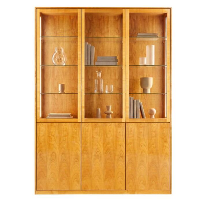 moderne Vitrine mit Beleuchtung